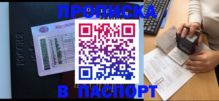 пропишу в квартире в Светлогорске